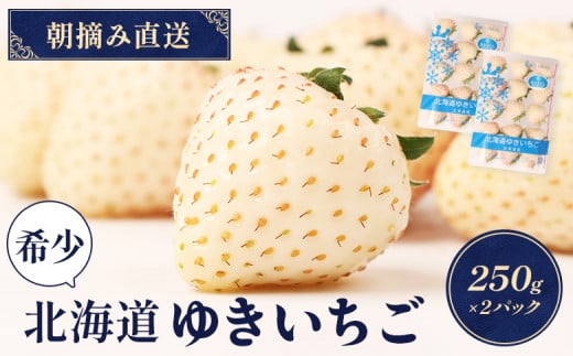 【北海道産】ゆきいちご（白いちご）2Pセット 250g×2 計500g