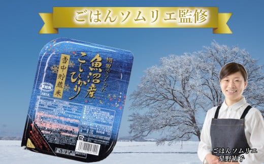 魚沼産コシヒカリ雪中貯蔵米パックご飯12個