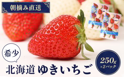 【受注後、随時発送！】【北海道産】ゆきいちご（ゆきぼたん/紅ほっぺ）赤白ＭＩＸ×２Ｐセット 250g×2　計500g