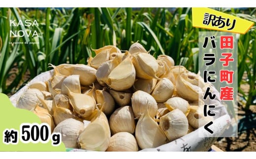 [訳あり]田子町産バラにんにく『500g』
