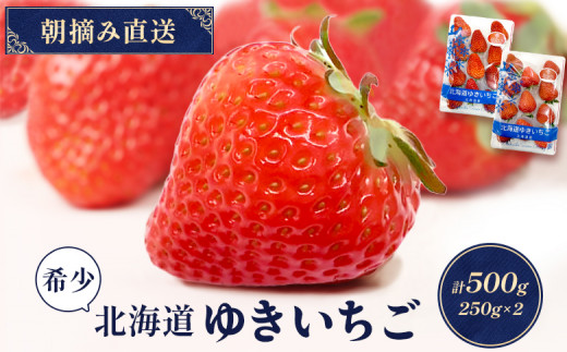 【受注後、随時発送！】【北海道産】ゆきいちご（紅ほっぺor恋みのり） ２Pセット 各250g×２ 計500g