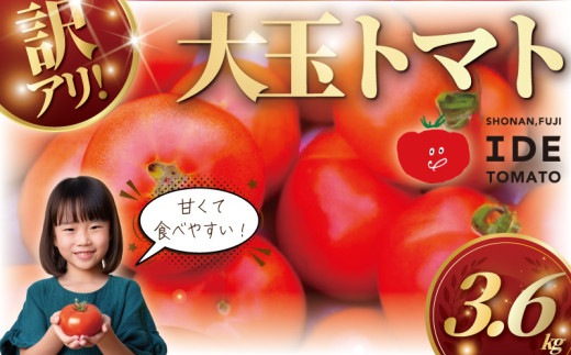 [11月発送]訳あり 完熟 大玉トマト 3,6キロ トマト 野菜 やさい 果物 とまと tomato 甘い リコピン トマト 産地直送 数量限定 農家直送 鮮度 新鮮 ハウス栽培 ビタミンC 美容 健康 お弁当 先行予約 わけあり 訳アリ 訳あり品 サラダ 井出トマト農園 神奈川 湘南 藤沢