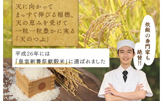 福島県国見町のふるさと納税 【令和7年産】米　国見町産　天のつぶ  20kg　5kg×4袋 ※沖縄・離島への配送不可 ※2025年10月中旬～2026年2月頃に順次発送予定