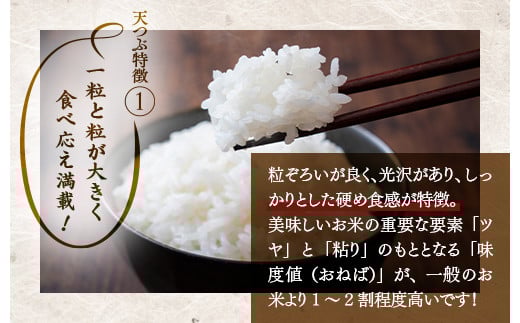 福島県国見町のふるさと納税 【令和7年産】米　国見町産　天のつぶ  20kg　5kg×4袋 ※沖縄・離島への配送不可 ※2025年10月中旬～2026年2月頃に順次発送予定