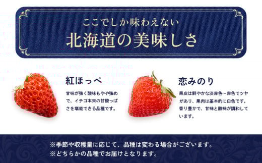 【受注後、随時発送！】【北海道産】ゆきいちご（紅ほっぺor恋みのり） ２Pセット 各250g×２ 計500g