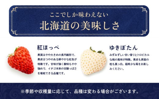 【受注後、随時発送！】【北海道産】ゆきいちご（ゆきぼたん/紅ほっぺ）赤白ＭＩＸ×２Ｐセット 250g×2　計500g