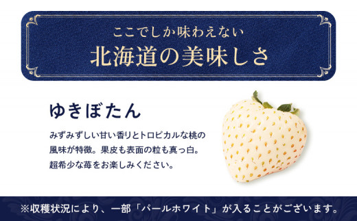 【北海道産】ゆきいちご（白いちご）2Pセット 250g×2 計500g