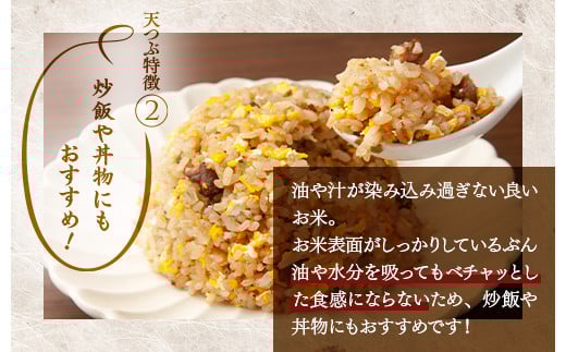 福島県国見町のふるさと納税 【令和7年産】米　国見町産　天のつぶ  20kg　5kg×4袋 ※沖縄・離島への配送不可 ※2025年10月中旬～2026年2月頃に順次発送予定