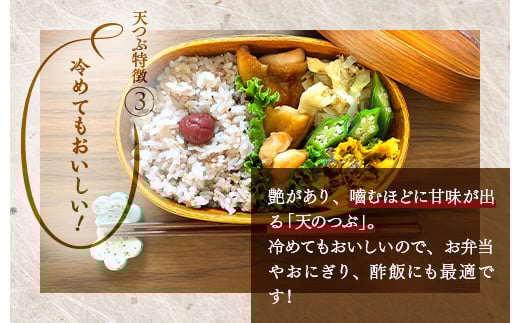 福島県国見町のふるさと納税 【令和7年産】米　国見町産　天のつぶ  20kg　5kg×4袋 ※沖縄・離島への配送不可 ※2025年10月中旬～2026年2月頃に順次発送予定