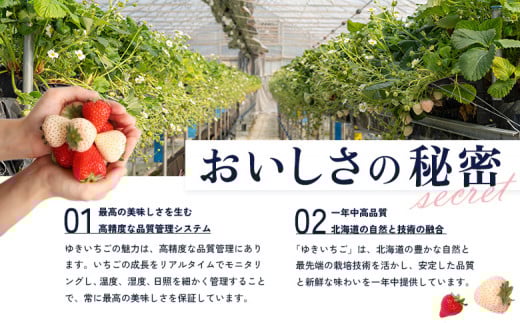 【受注後、随時発送！】【北海道産】ゆきいちご（ゆきぼたん/紅ほっぺ）赤白ＭＩＸ×２Ｐセット 250g×2　計500g