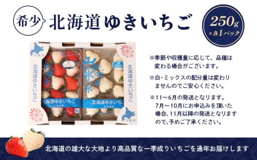 【受注後、随時発送！】【北海道産】ゆきいちご（ゆきぼたん/紅ほっぺ）白×ＭＩＸ 2Pセット 各250g×2 計500g