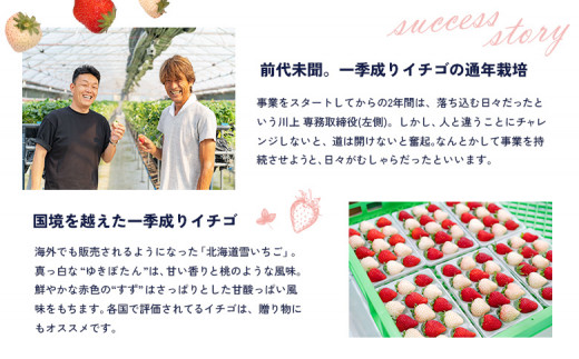 【受注後、随時発送！】【北海道産】ゆきいちご（紅ほっぺor恋みのり） ２Pセット 各250g×２ 計500g