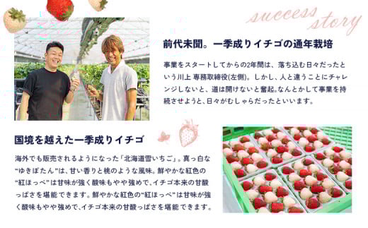 【受注後、随時発送！】【北海道産】ゆきいちご（ゆきぼたん/紅ほっぺ）赤白ＭＩＸ×２Ｐセット 250g×2　計500g