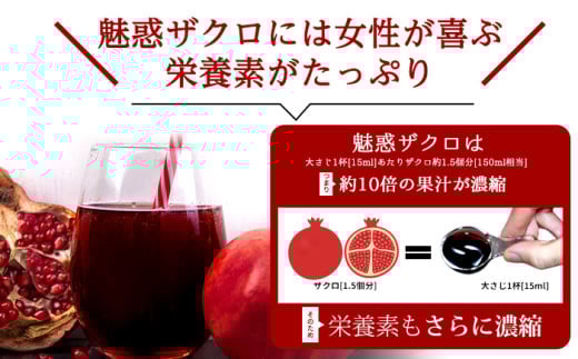 岐阜県多治見市のふるさと納税 魅惑ザクロジュース 3袋 多治見市 / ユアーズ [TGK001]