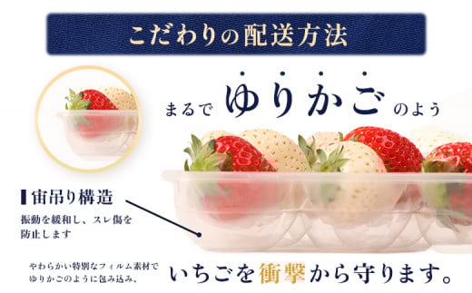 【受注後、随時発送！】【北海道産】ゆきいちご（ゆきぼたん/紅ほっぺ）赤白ＭＩＸ×２Ｐセット 250g×2　計500g