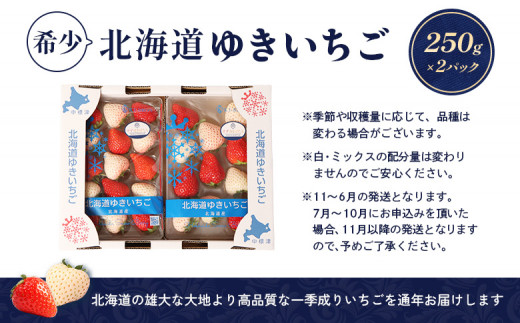 【受注後、随時発送！】【北海道産】ゆきいちご（ゆきぼたん/紅ほっぺ）赤白ＭＩＸ×２Ｐセット 250g×2　計500g