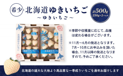 【北海道産】ゆきいちご（白いちご）2Pセット 250g×2 計500g