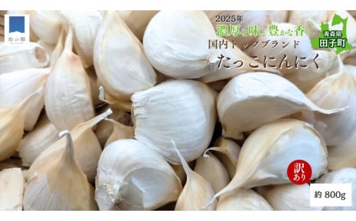 [訳あり]田子(たっこ)バラにんにく約800g(青森県田子町産にんにく中〜大粒サイズ混合)