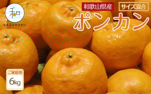 家庭用 森本農園の手選別 ポンカン 6kg 和歌山県産 サイズ混合 ［北海道・沖縄・離島配送不可］［RN32］［2026年1月上旬から順次発送］ 1448646 - 和歌山県和歌山市