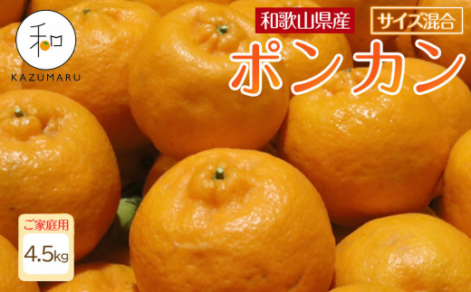 家庭用 森本農園の手選別 ポンカン 4.5kg 和歌山県産 サイズ混合 ［北海道・沖縄・離島配送不可］［RN12］［2026年1月上旬から順次発送］ 1448632 - 和歌山県和歌山市
