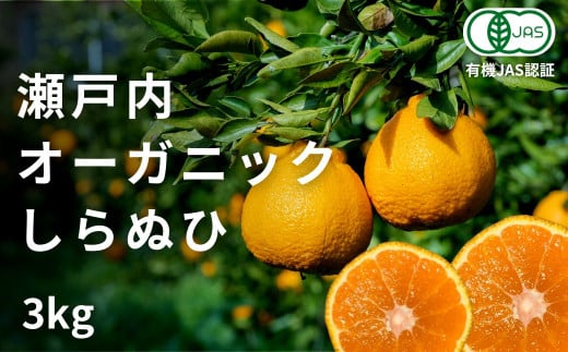 [予約] 2〜3月発送 オーガニックしらぬひ 約3kg 国産 有機JAS認証 瀬戸内 広島 大崎上島 離島 有機栽培 柑橘 果物 オーガニック フルーツ ギフト 防腐剤不使用 ワックス不使用 無添加 安全 安心 送料無料 産地直送 中原観光農園 313071 - 広島県大崎上島町