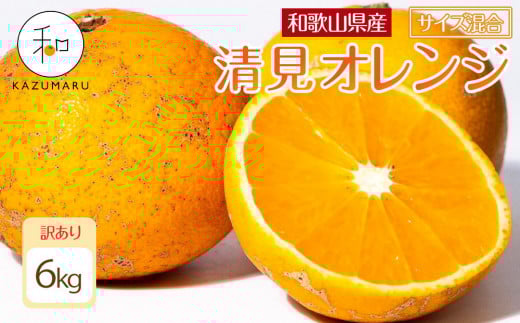 訳あり 森本農園の手選別 清見オレンジ 6kg 和歌山県産 サイズ混合 ［北海道・沖縄・離島配送不可］［RN24］［2026年2月上旬から5月中旬頃順次発送予定］ 1448639 - 和歌山県和歌山市