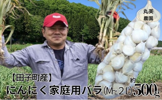丸美農園 田子町産にんにく家庭用バラ約500g・M〜2L