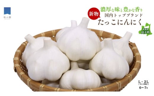 令和7年産新物!日本一ブランドたっこにんにく6〜7玉(青森県田子町産にんにくL〜2Lサイズ混合)