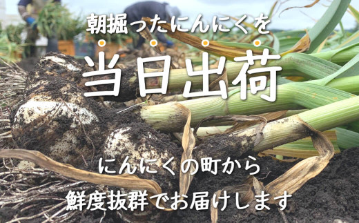 アイテムID:444017の画像2枚目