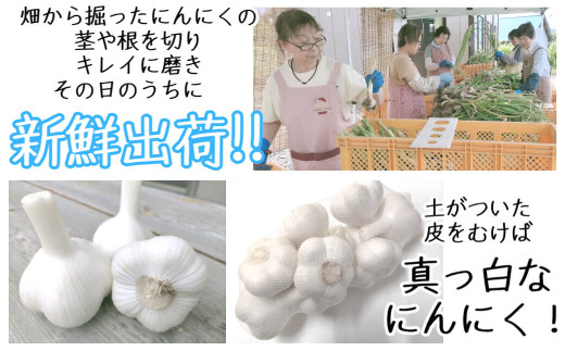 アイテムID:444017の画像3枚目