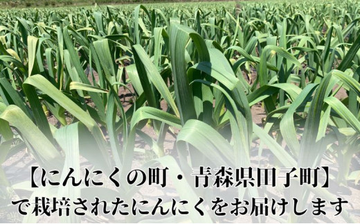 アイテムID:444017の画像4枚目