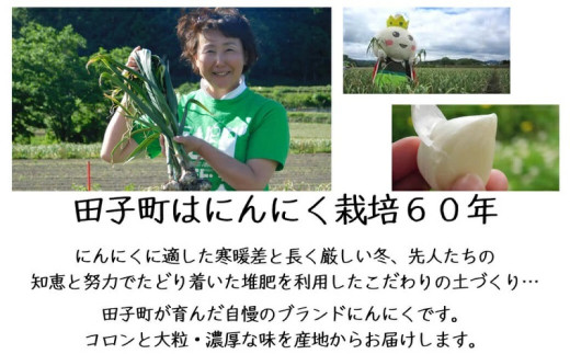 アイテムID:444017の画像3枚目
