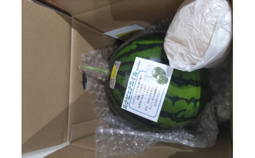 1玉の梱包イメージです