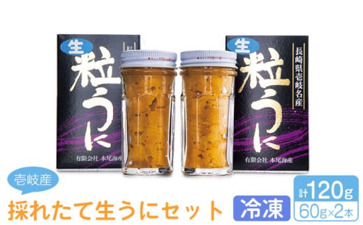 採れたて生うに 60g×2本 《壱岐市》【本尾海産】[JAR003] 生うに ウニ うに 雲丹 海産物 海鮮 ご飯のお供 ごはんのおとも 瓶詰 瓶 24000 24000円 2万4千円 267721 - 長崎県壱岐市
