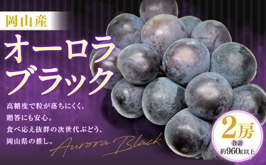 オーロラブラック 2房（1房480g以上・合計960g以上） 化粧箱入り 【2025年8月下旬～9月下旬迄発送予定】 葡萄 ブドウ ぶどう フルーツ 果物 ギフト 国産 岡山県産