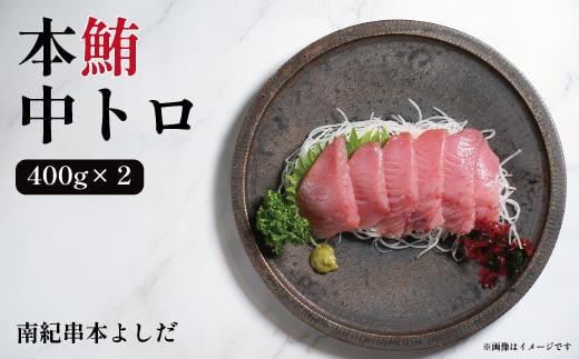 南紀串本よしだ 本鮪 中トロ サク 400g×2 合計 800g 2101261 - 和歌山県高野町