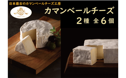 【クレイル特製】カマンベールチーズ 2種 贅沢セット