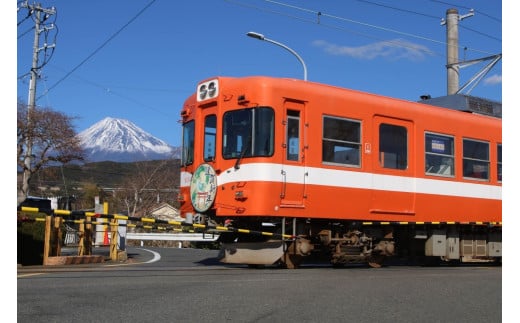【返礼品なし】全駅から「富士山が望める」地方鉄道 ～岳南電車応援事業～A 静岡県 富士市 [sf010-008]