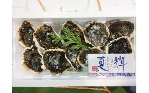 127.鳥取県産　天然　岩ガキ『夏輝』　10個（300g以上×10個） 牡蠣 カキ※着日指定不可※2025年6月上旬～8月中旬頃に順次発送予定