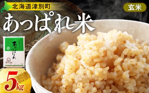 北海道産 津別町 あっぱれ米 5kg 玄米 今井農場 先行予約 数量限定