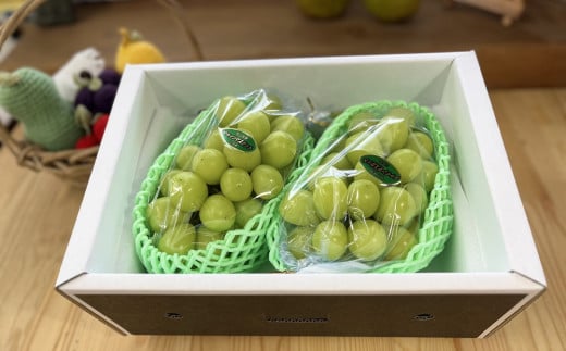 シャインマスカット　２房　合計１.５ｋｇ　0049-2508