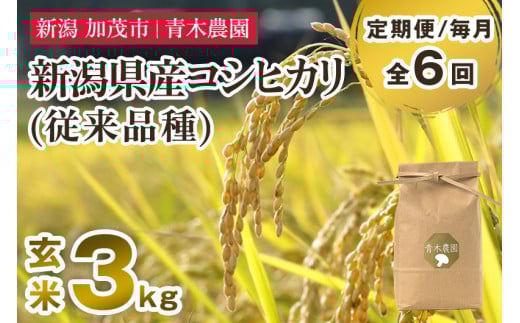 【令和7年産新米先行予約】【定期便6ヶ月毎月お届け】新潟県産 コシヒカリ（従来品種）玄米3kg（3kg×1袋）《10月上旬から順次発送》 玄米 白米 きのこ農家ならではの有機質肥料 お米 新潟産 コシヒカリ 加茂市 青木農園