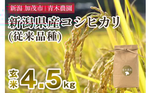 【令和7年産新米先行予約】新潟県産 コシヒカリ（従来品種）玄米4.5kg（1.5kg×3袋）《10月上旬から順次発送》 玄米 白米 きのこ農家ならではの有機質肥料 お米 新潟産 コシヒカリ 加茂市 青木農園