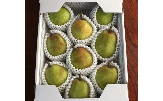 西洋梨（ラ・フランス）３ｋｇ　８～１１玉　特秀品　化粧箱入　0049-2511