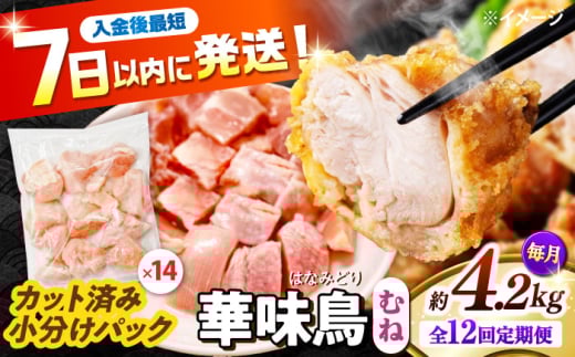 【12回定期便】華味鳥 むね肉 4.2kg（300g×14袋）小分け カット済み 南島原産 /　鶏肉 肉 とり肉 ムネ肉 鶏むね肉 冷凍 大容量 / 南島原市 / 株式会社渡部ブロイラー [SFS020]