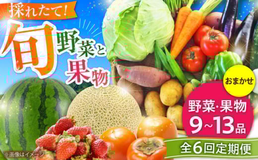 【全6回定期便】菊陽町特産品 「野菜・果物などの詰め合わせ」 / 新鮮 詰合せ フルーツ セット 旬 おまかせ にんじん 直売所 やさい くだもの 熊本県 特産品 菊陽町【有限会社さんふれあ】 [BHAK008]