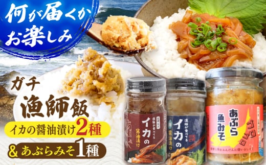 【何が届くかお楽しみ！】イカの醤油漬け2種＆あぶらみそ1種 ランダムで３瓶お届け！平戸市/康貴丸水産 [KAB308]