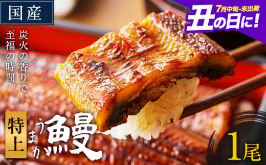 うなぎ 特上サイズ 1尾 国産 ランキング 獲得 鰻 真空パック おすすめ うなぎの蒲焼 《丑の日に！7月中旬〜7月末出荷》 有頭 ふるさとのうぜい 鶏炭火焼 特上 簡易包装 ウナギ unagi 蒲焼 秋 冬 旬 配送時期 冷凍