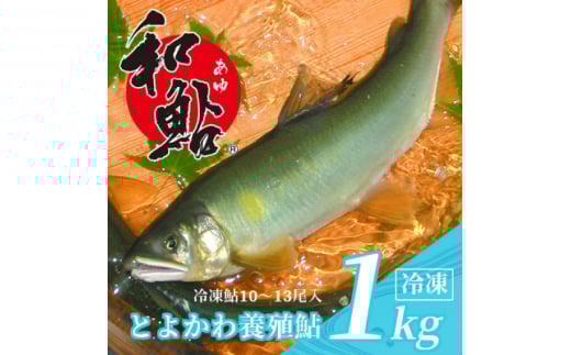 とよかわ鮎 1kg - 厳選鮎使用!＜おすすめお礼品＞【1289322】
