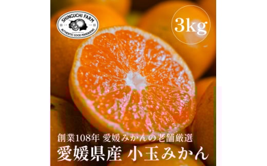 ＜創業108年＞愛媛みかんの老舗厳選＜小玉 みかん3kg＞＜C70-73＞【1620185】